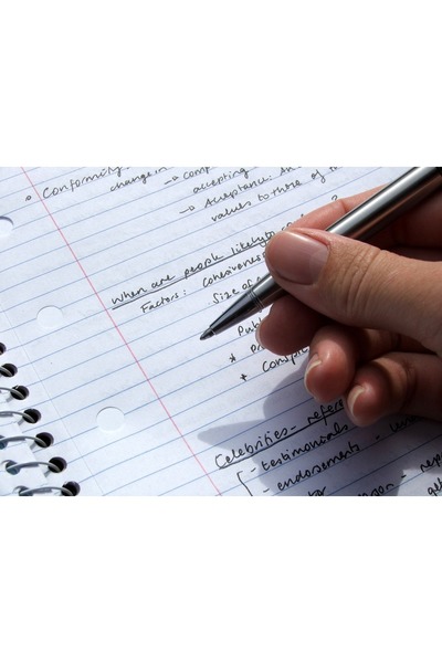 Essay coursework writing service